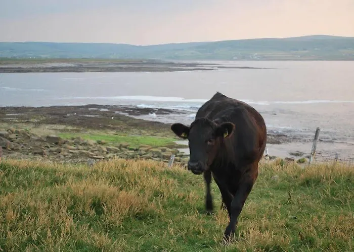 B&B Creevagh Heights Killala